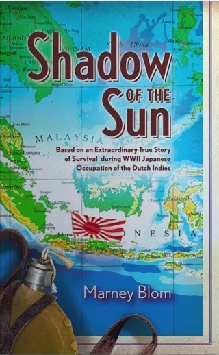 Photo of the book Shadow of the Sun